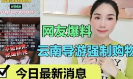 网友爆料云南导游视频大全,揭秘云南旅游背后的真实故事