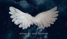 wings在线观看,在线观看，探索青春梦想的翅膀之旅