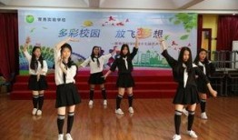 舞动校园在线观看,青春旋律，梦想起航